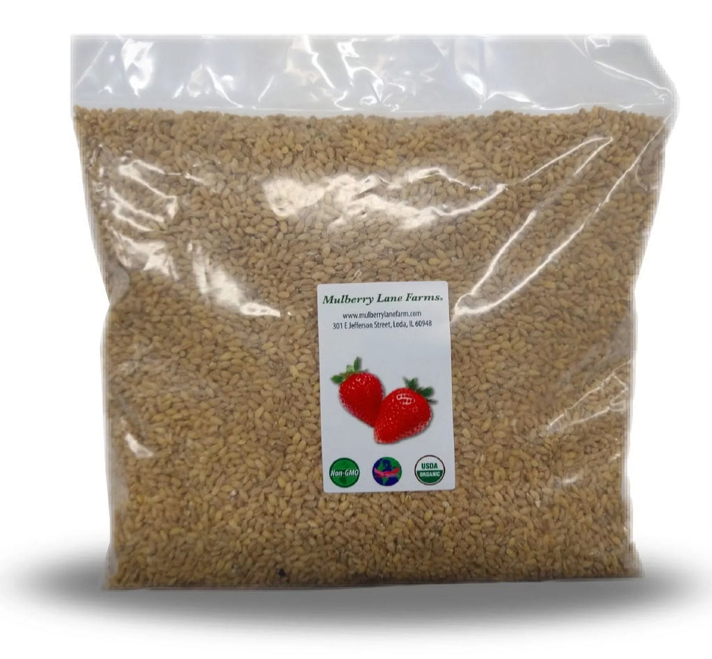 Hulled Barley 10 lbs (ten pounds) 100% USDA Certified Organic