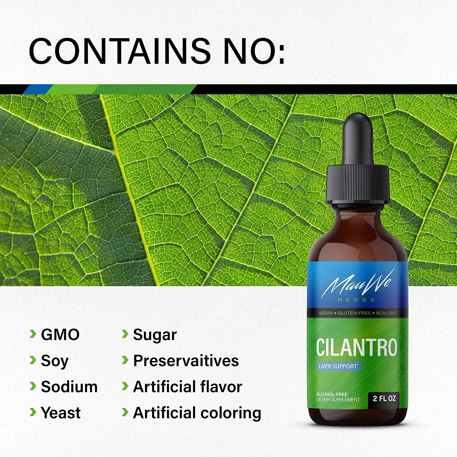 MAUWE HERBS Cilantro Supplement - Organic Cilantro Leaf Liquid Extract - Coriandrum Sativum Drops for Body Cleansing & Detox - Cilantro Tincture Alcohol Free 2 fl. Oz