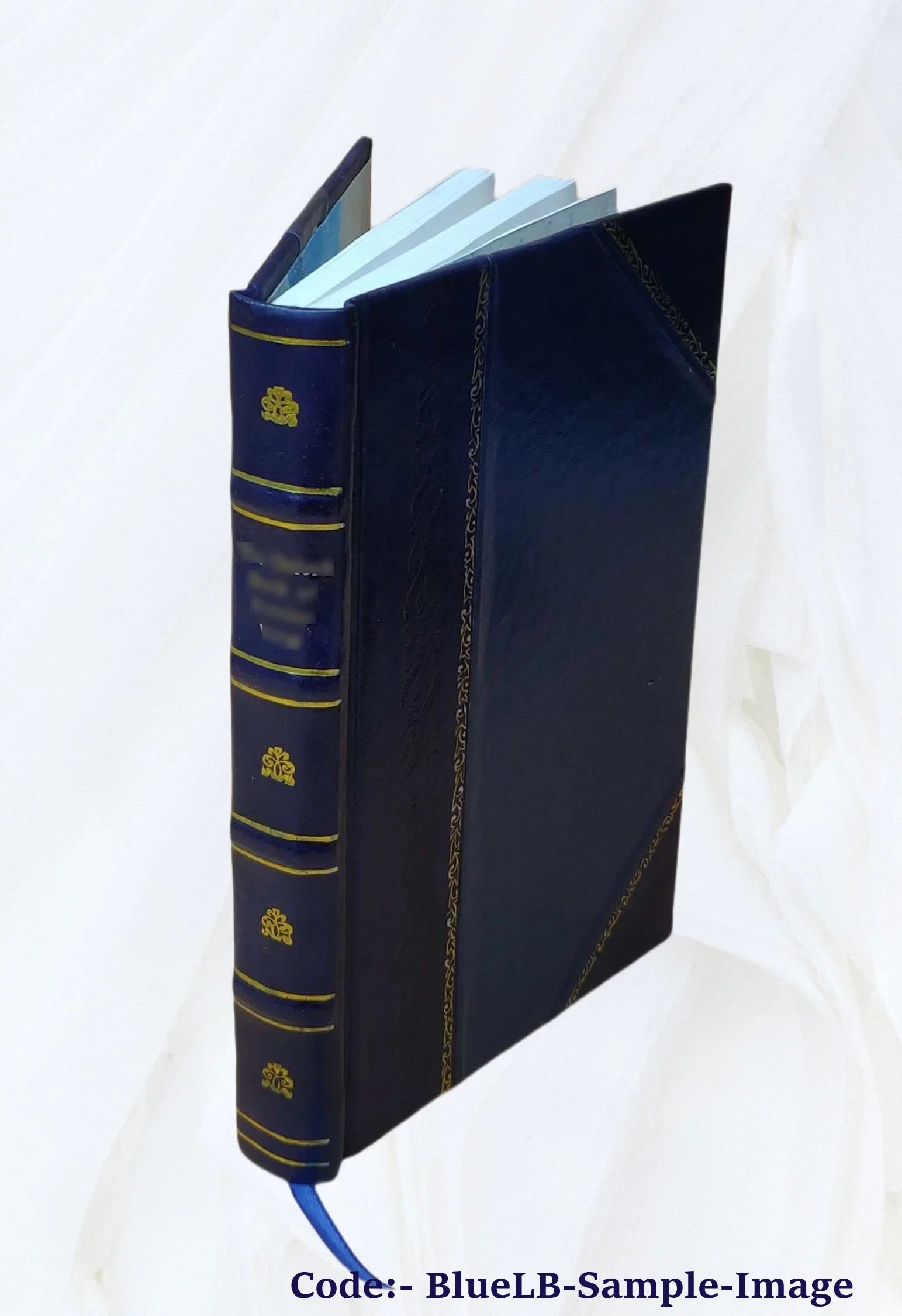 The yellow trail : a story of Salmon River gold 1922 [Leather Bound]