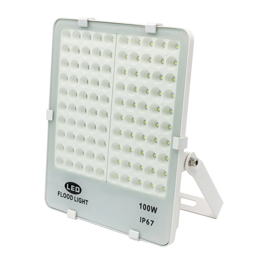 Rite Angler Green Blazer Fish & Game LED Floodlight 100w Dock Watercraft Hunting Light for Attracting Fish and Game 110v