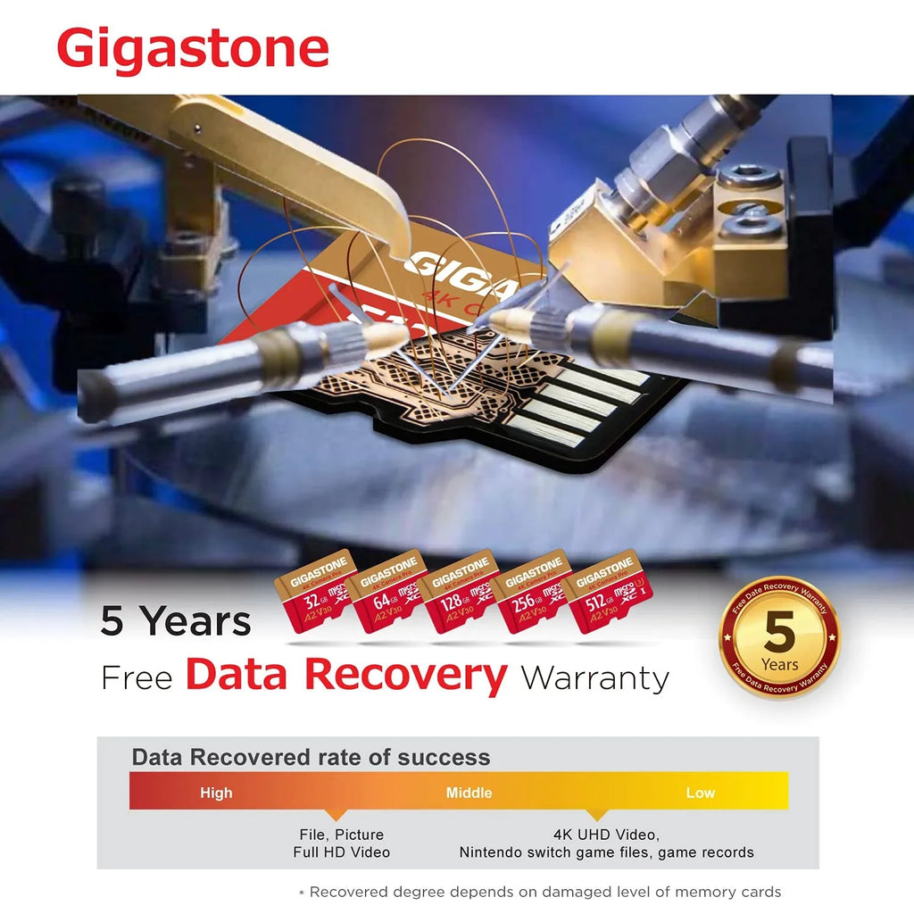 Gigastone 128GB Micro SD Card, 4K Video Recording, 4K Camera Pro, Matching with Nintendo Switch, Dash Cam, GoPro Cameras, R/W up to 100/50 MB/s, Micro SDXC UHS-I A1 V30 Class 10, 2 Pack (2x128GB)