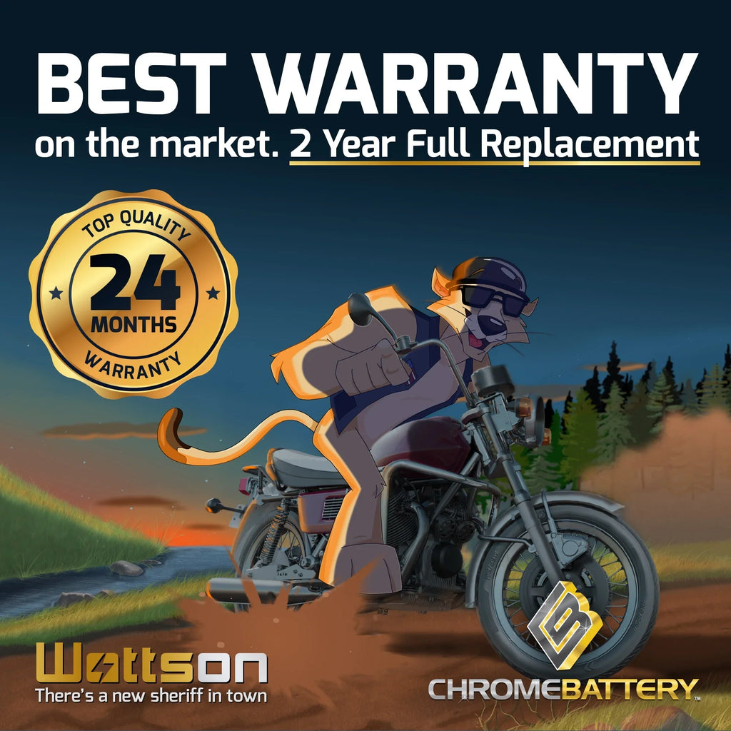 Chrome Battery Y50-n18l-a3 (50-n18l-a3 12 Volts,20 Ah, 260 Cca) High Performance - Maintenance Free - Sealed AGM Motorcycle Battery