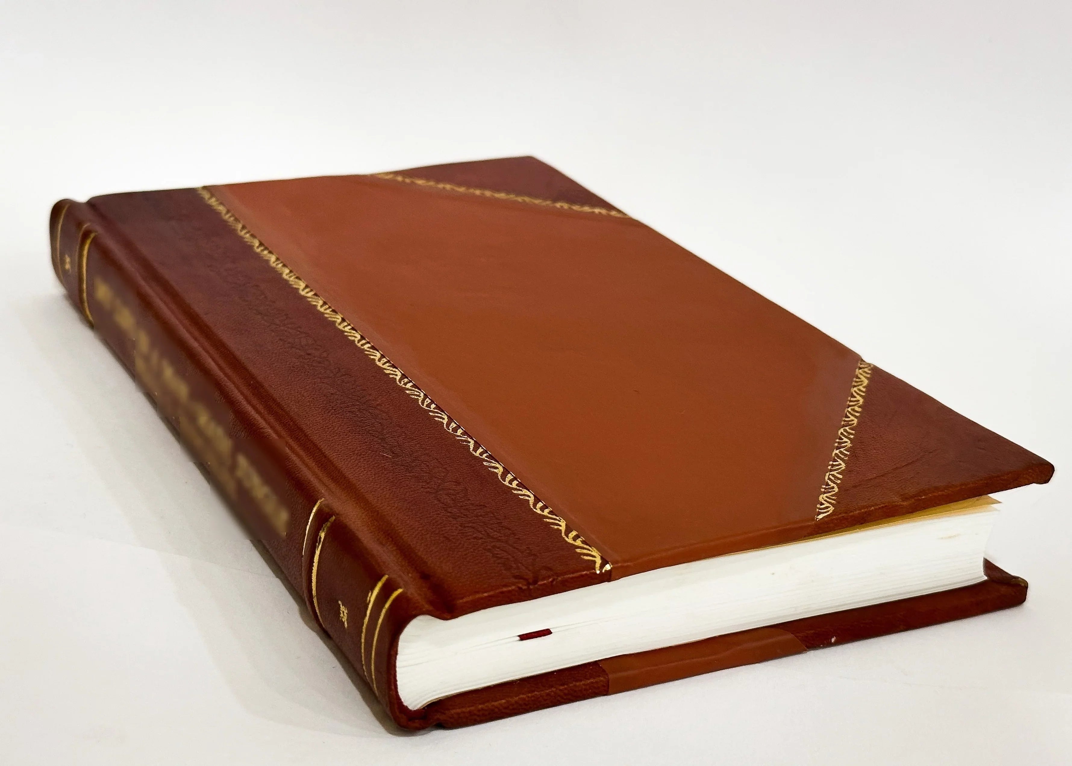 Amatus Lusitanus Und Seine Zeit : Ein Beitrag Zur Geschichte Der Medicin Im 16. Jahrhundert / Salomon, Max (1901) [Leather Bound]