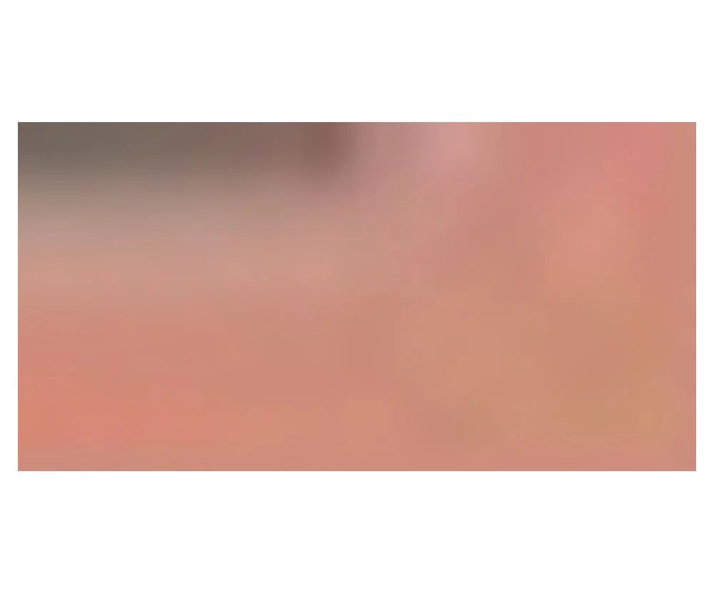 Victoria's Secret Satin Lip Crayon WHISPER 2.5g/.08