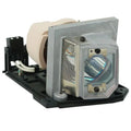 Dynamic Lamps 52484-G Optoma BL-FP230G Fitting Projector Lamp Module