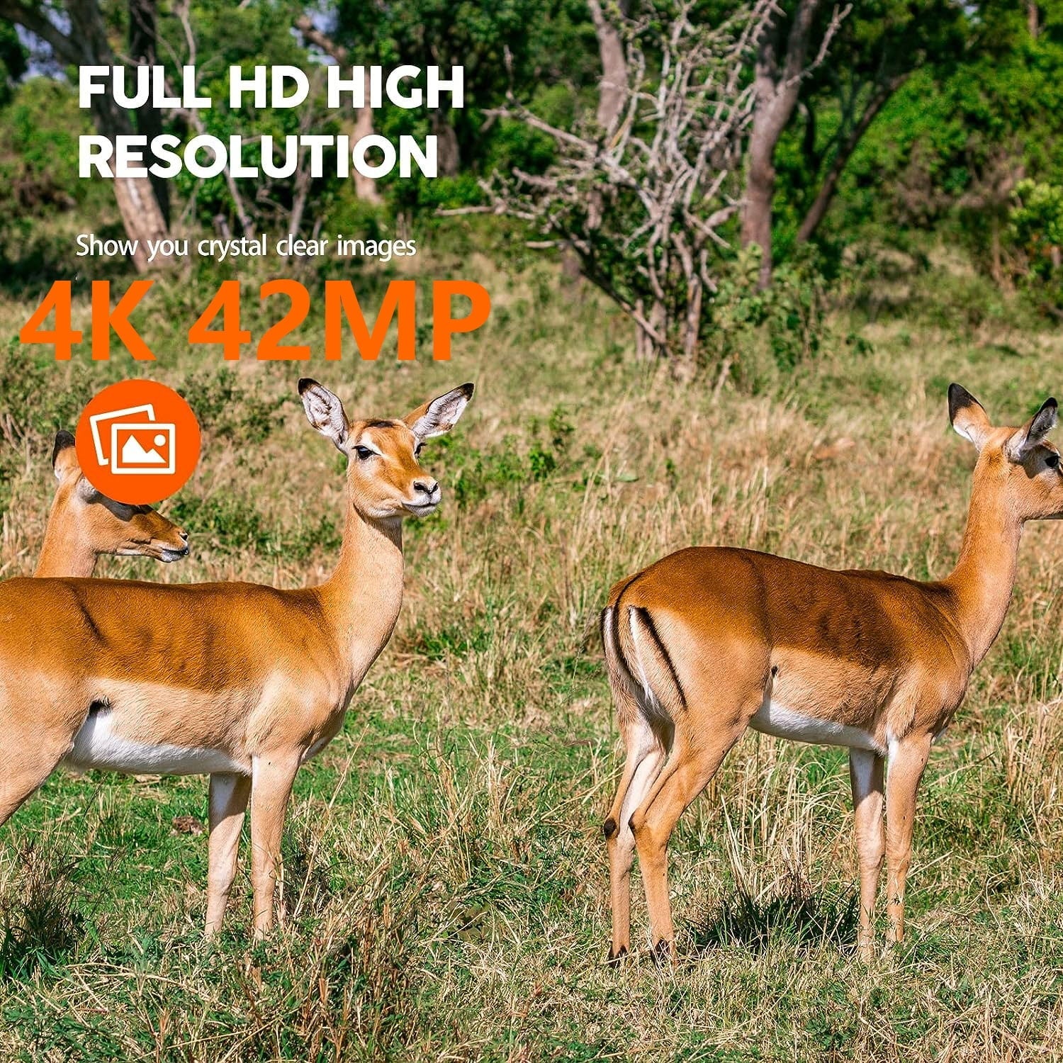CAMPARK 42MP Native 4K 30fps Trail Game Camera WiFi Bluetooth Hunting Deer Camera with Night Vision 3 PIR Sensor Waterproof IP66 Motion Activated 120° Wide Angle Trail Cam for Wildlife Monitoring