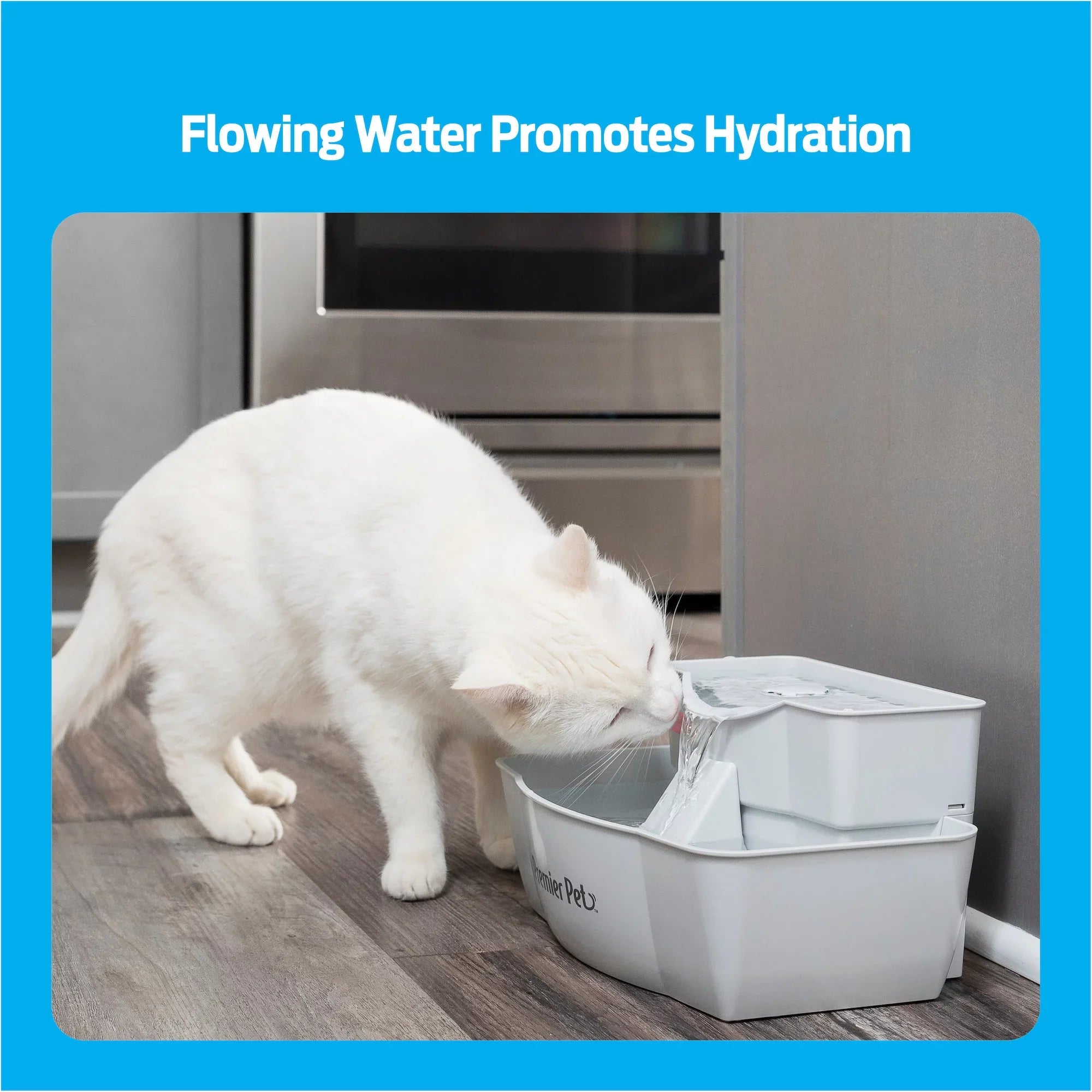 Premier Pet 100 oz. Pet Fountain - Automatic Water Fountain for Dogs and Cats