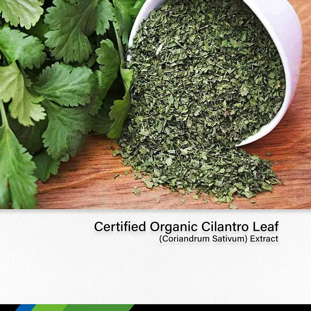 MAUWE HERBS Cilantro Supplement - Organic Cilantro Leaf Liquid Extract - Coriandrum Sativum Drops for Body Cleansing & Detox - Cilantro Tincture Alcohol Free 2 fl. Oz