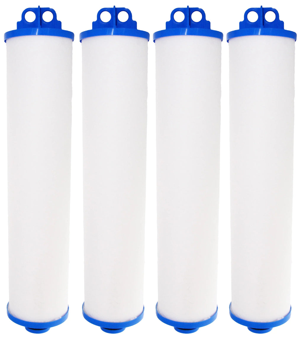 Neo-Pure BB150-PH50 Big Bubba 50 Micron Pleated Filter Cartridge Fitting with Watts BBC-150-P50 Big Bubba BBH-150 housing (4 Pack)